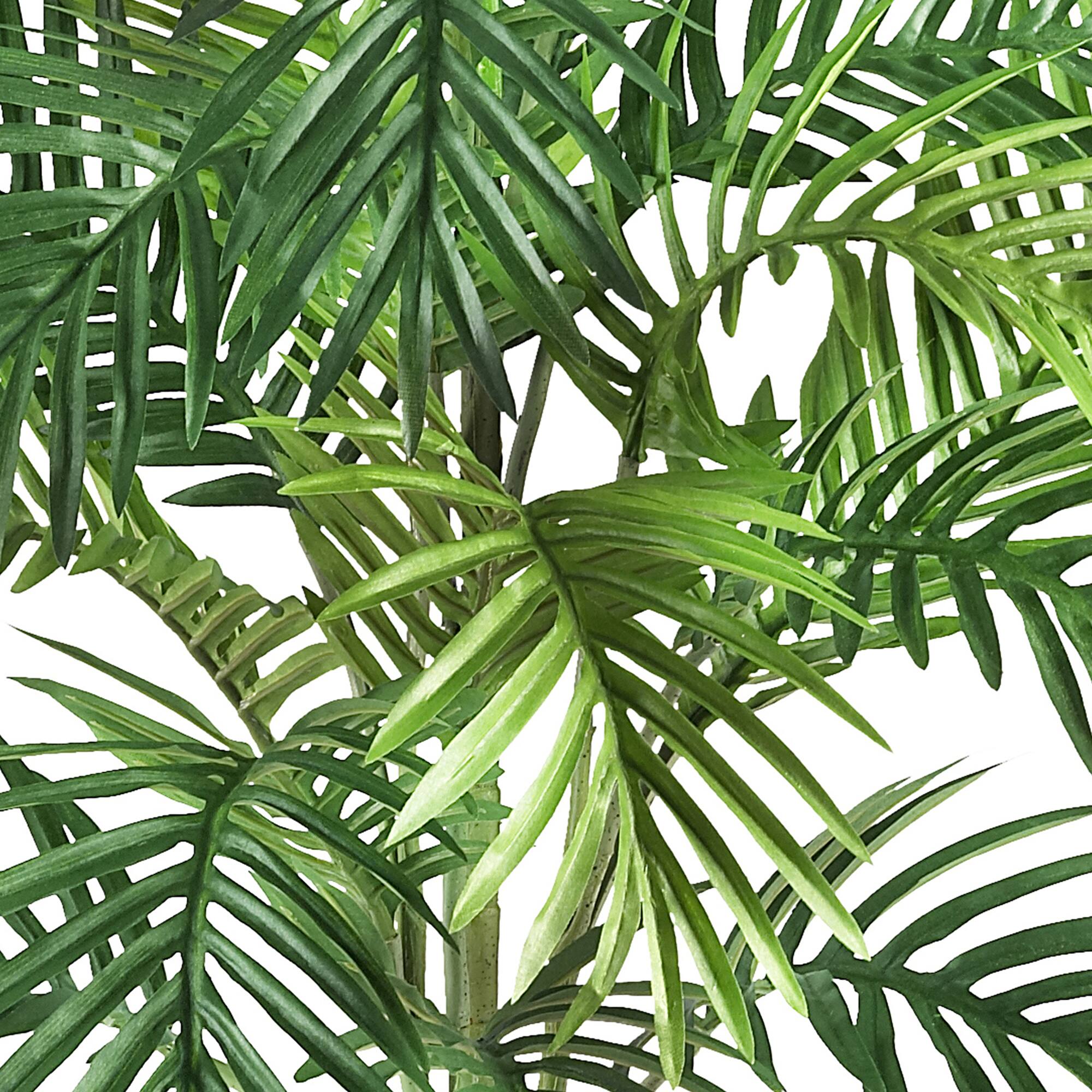 3.16ft. Areca Palm with Wicker Basket Planter